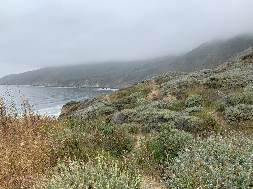 Point Sal