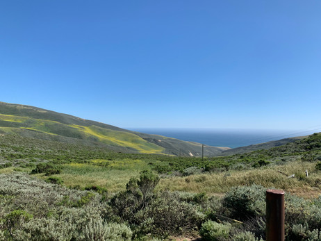 Pacific Ocean