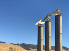 IMG_3518.jpeg