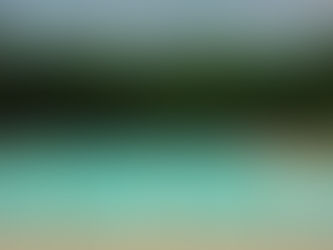 OT Sloan Renovations Approved