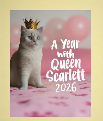 Screenshot 2025-10-16 194840 (2).jpg