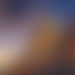 Government Shutdown Ended!! Here's What To Expect