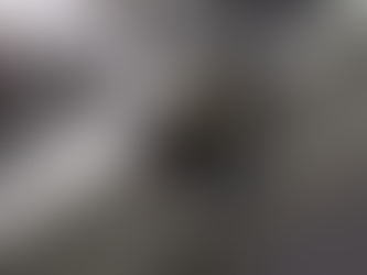 Alleged Chanel Bag Crook Facing Minimum 20 Year Sentence.