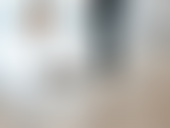 commercial cleaner dust mopping commercial flooring