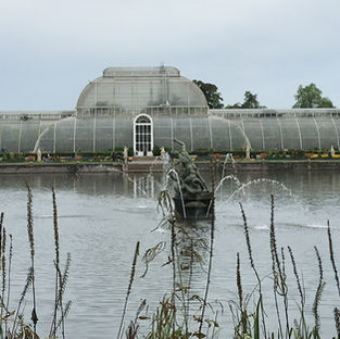 My Visit to Kew Gardens and The Temperate Carnivorous Greenhouse