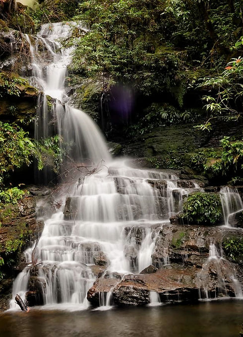 345ee868-64a7-48c1-b6bd-298594215387_edi