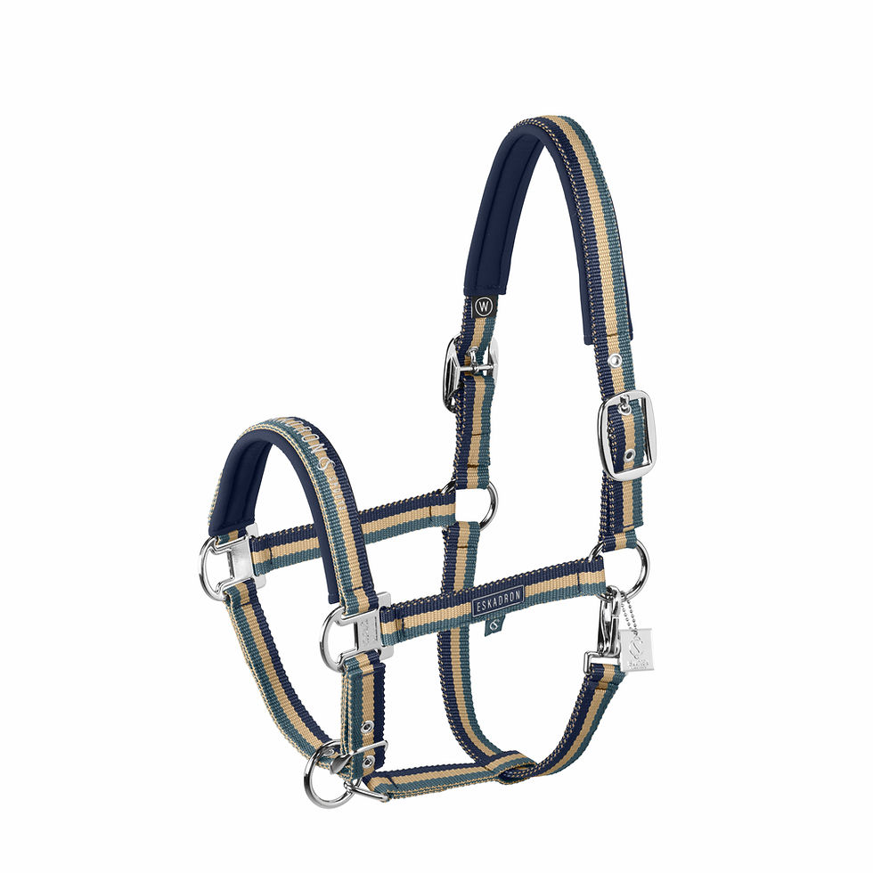 Minijatura: Ular Double Pin