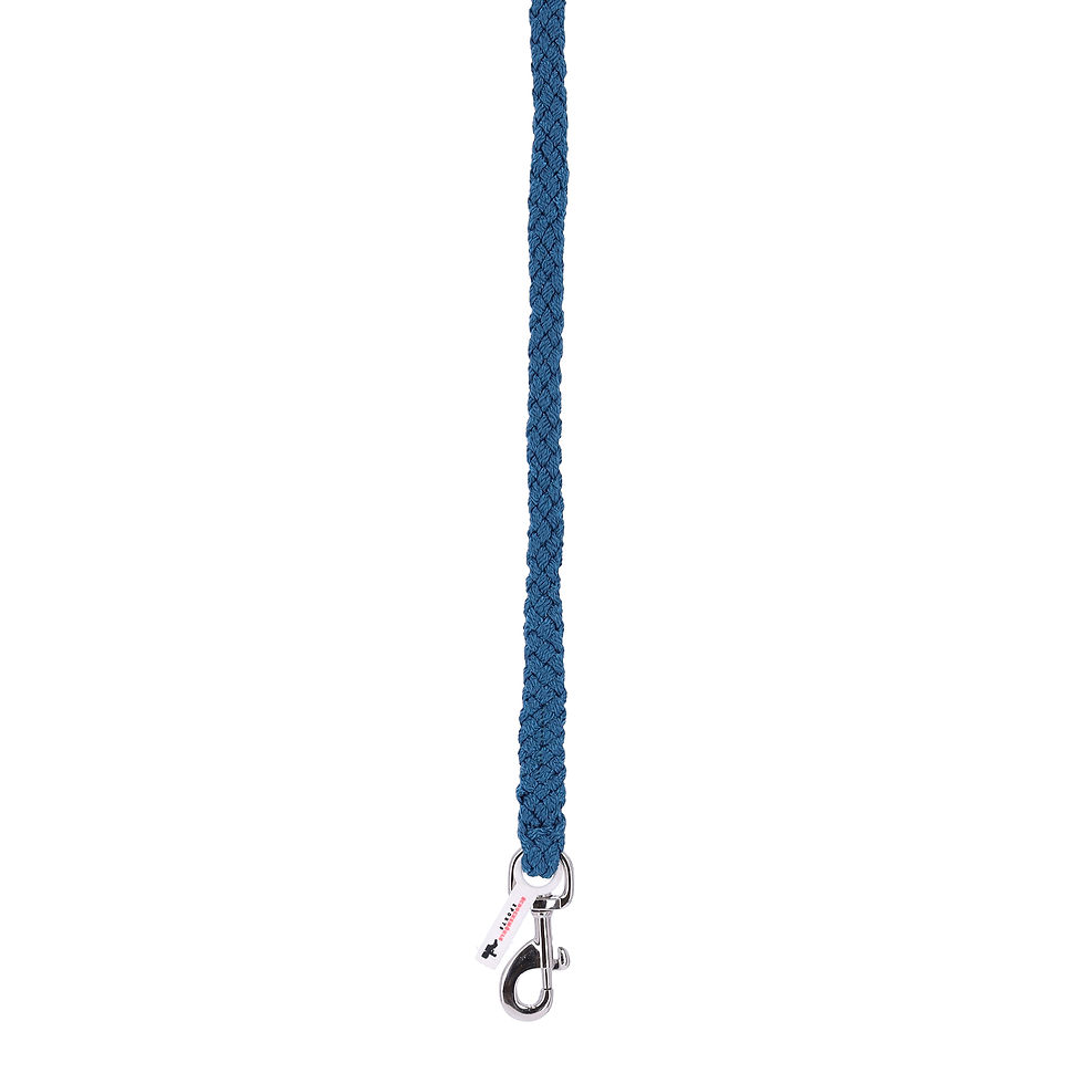 Minijatura: Povodac Style Karabiner