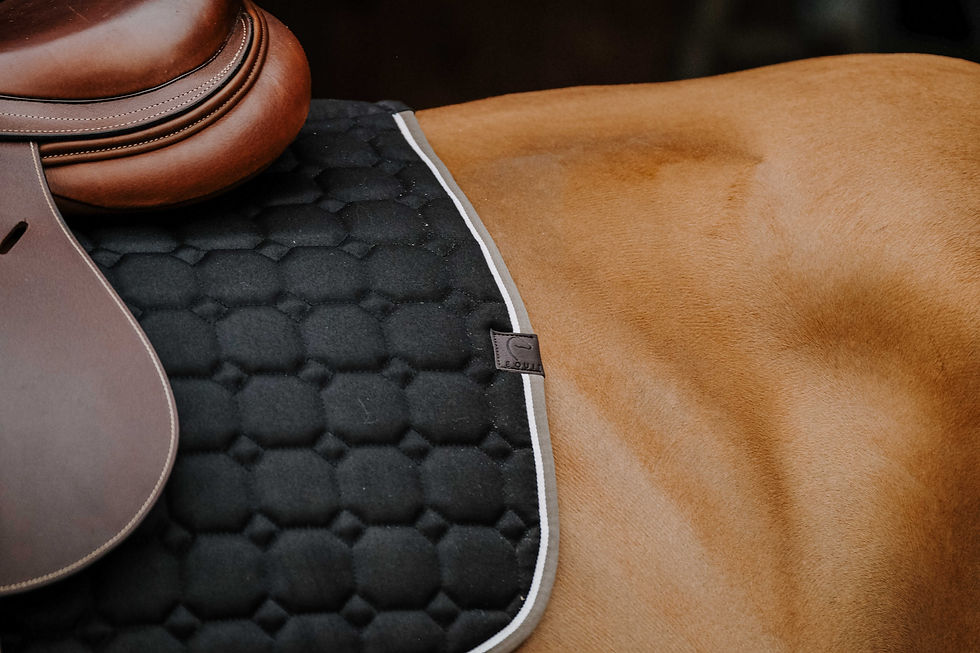 Minijatura: Podsedlica Tapis Orion