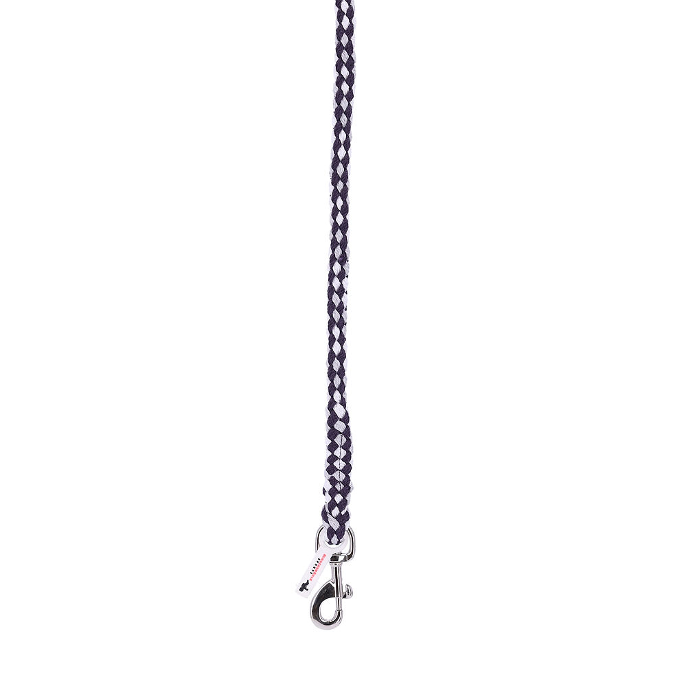 Minijatura: Povodac Style Karabiner