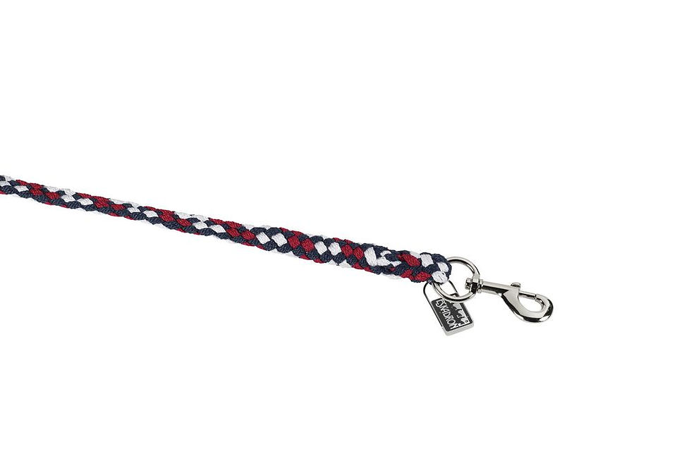 Minijatura: Povodac Karabiner Regular