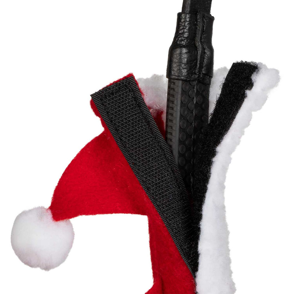 Minijatura: Xmas  collection set za dizgine