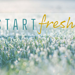 Start Fresh