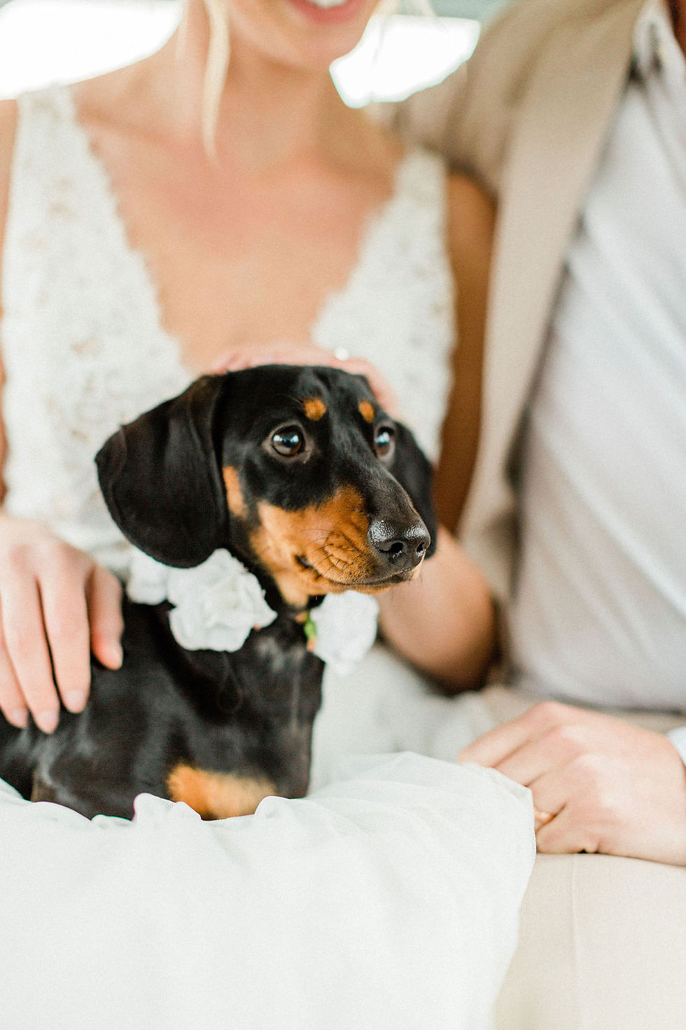 Wedding Planner