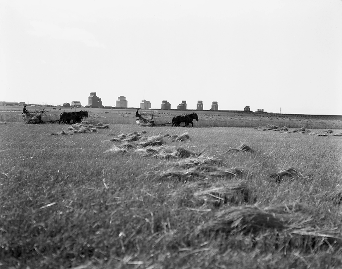 nd-8-218.jpg.webp