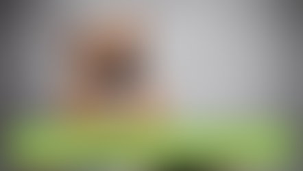 עוד מאמרים באנגלית