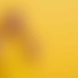 איזה מבחן אנגלית לבחור: IELTS, TOEFL, PTE או Duolingo? המדריך שיעשה לכם סדר בבלאגן