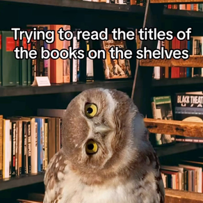 מאמרים באנגלית למבחן אמירנט: 143 מאמרים לקרוא ב 2026