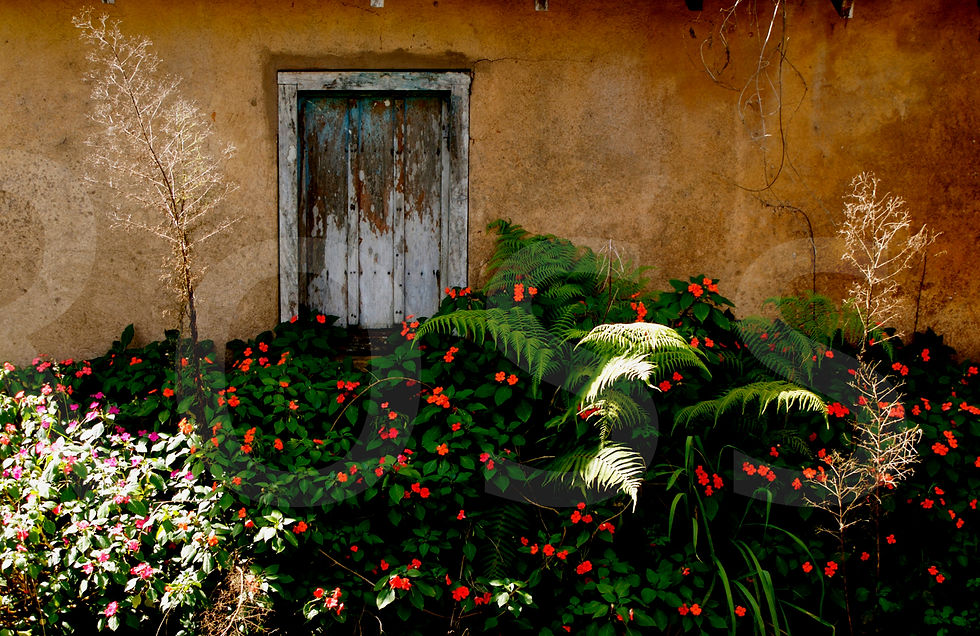 Miniatura: A Casa