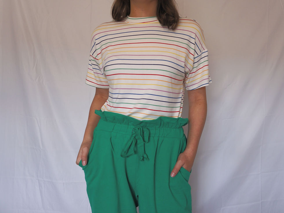 Rainbow Shirt Front View