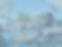 Florida-Craftbrew-and-Wingfest-Live-Music.jpg
