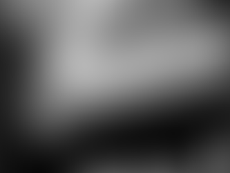 elbow x-ray of an weimaraner Sukansyöjän Material Girl, the results are 0/0