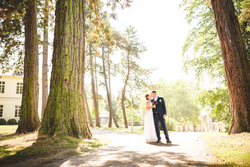 Hochzeitspaar zwischen großen Bäumen bei tiefstehender Sonne