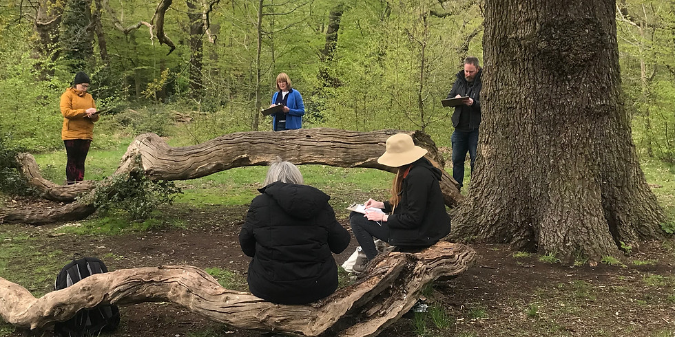 Sketching in the forest - outdoors art class