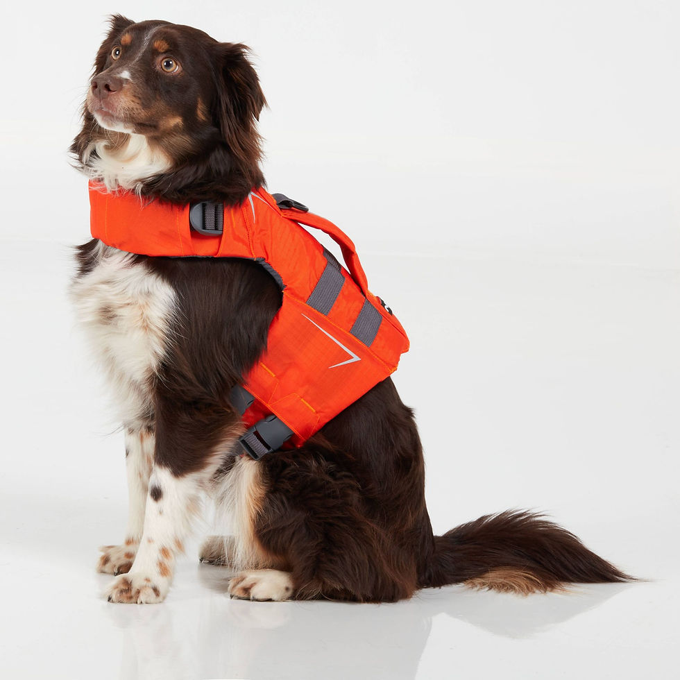 Miniature : NRS Canine veste de Flottaison pour Chien