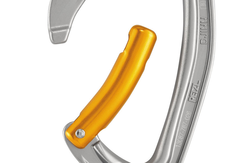 Miniature : Petzl Djinn Axess