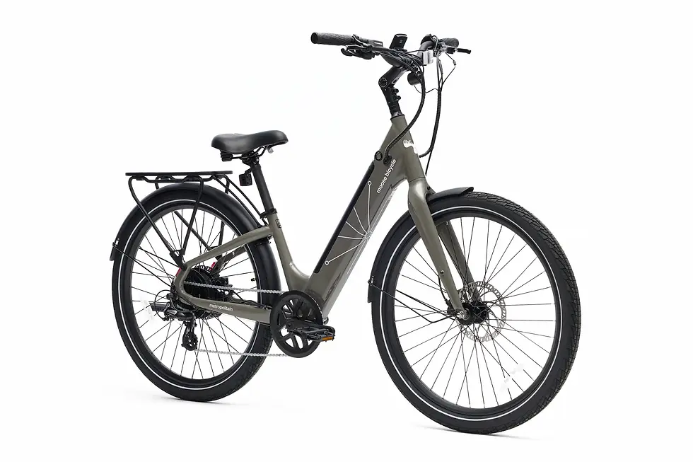 Moose Metropolitain Vélo à Assistance Électrique