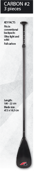 F2 Pagaie Carbon #2 3 Sections