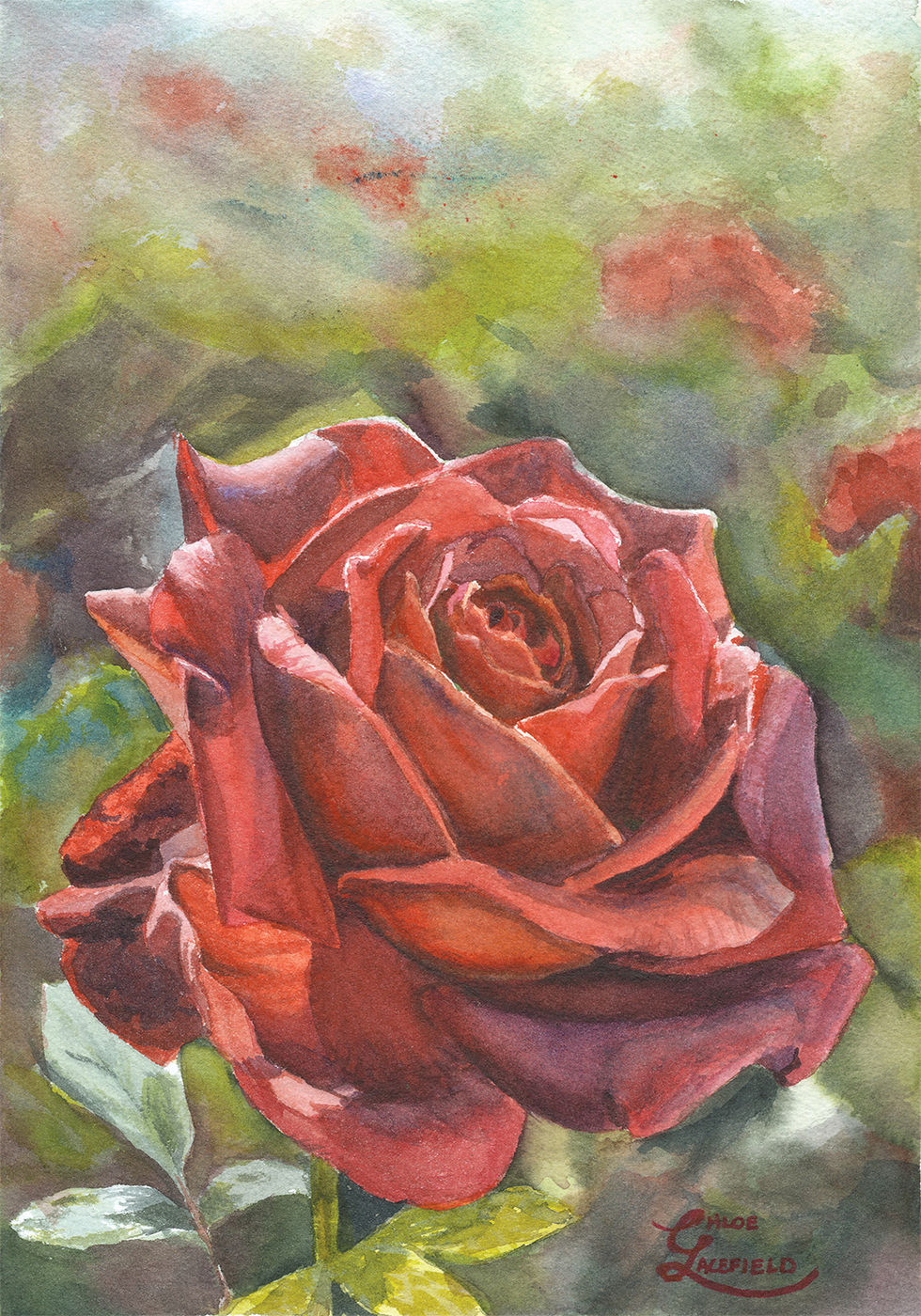 Watercolor painting by Chloe Lacefield from the State Flower Series. A richly colored Oklahoma Rose in deep crimson hues blooms against a soft, natural background. Inspired by Luke 12:27, the artwork reflects God’s care and the quiet beauty of creation.