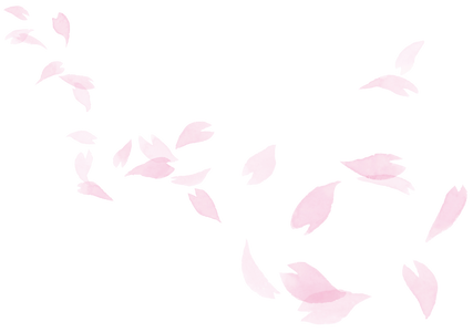 桜2透過.png