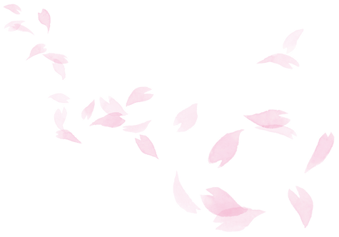 桜2透過.png