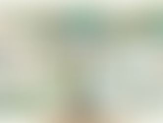 Foundations of Social Science in Conservation: A Literature Review