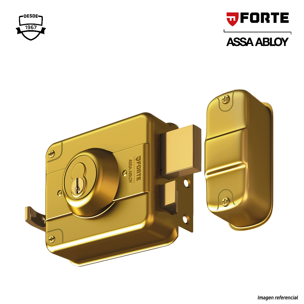 Chapa sobreponer Forte Clásica 226 Dorada