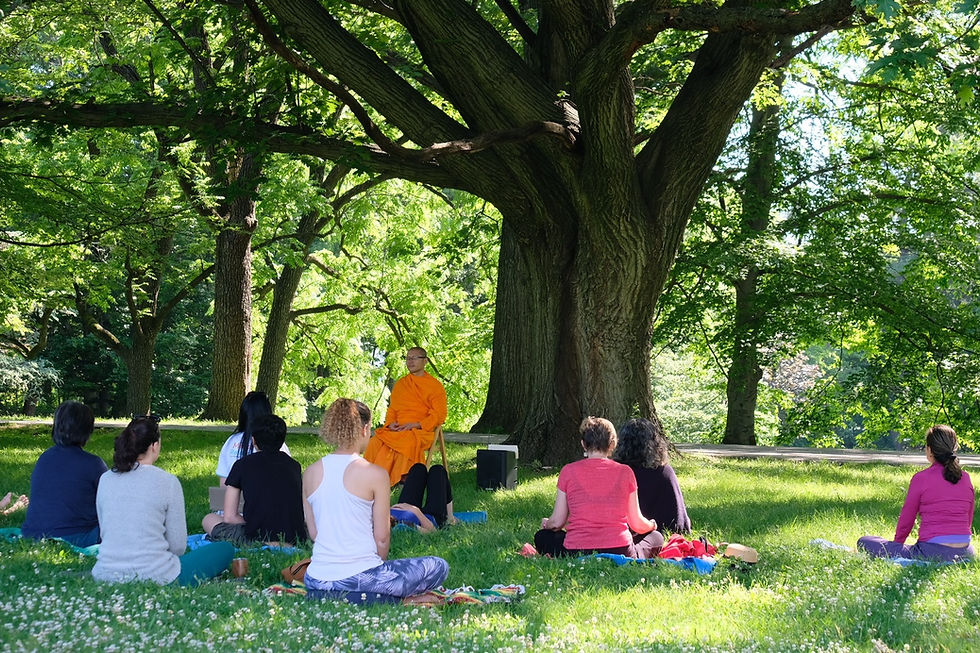 Meditation at Brookdale Park Rose Garden