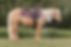 No Photo
