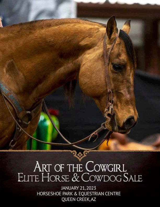 Catalog | Elite Horse Sale