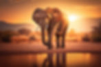 Africa
