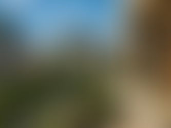 Como Escolher o Apartamento Ideal em Botafogo: Um Guia Prático para Investidores e Moradores