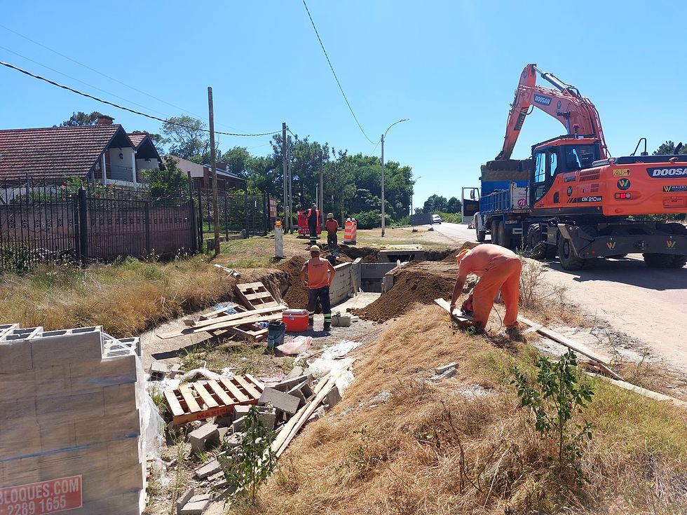 WhatsApp Image 2025-05-29 at 14.13.00 (1).jpeg