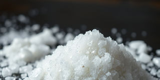 You are the salt of the earth
