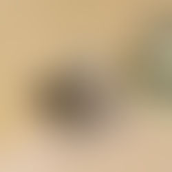 Seamless Beauty: The Environmental and Aesthetic Benefits of Zero-VOC Wall Finishes