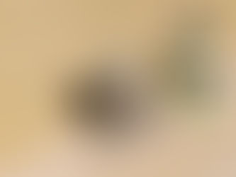 Seamless Beauty: The Environmental and Aesthetic Benefits of Zero-VOC Wall Finishes