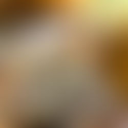 A Guide to Sacred Smoke: White Sage, Blue Sage, Shasta Sage & Cedar (And How to Use Them for Smudging)