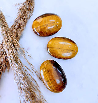 Palm Stone store icon cover #1.jpg