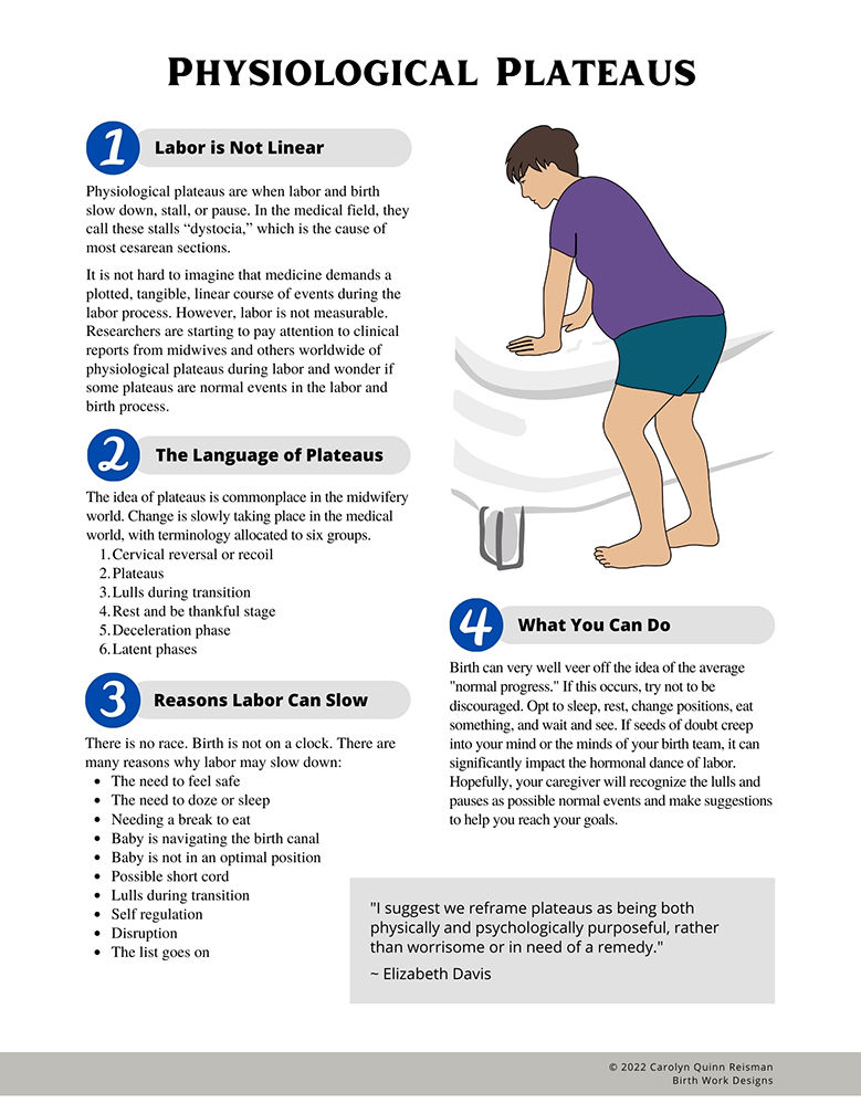 Thumbnail: Physiological Plateaus