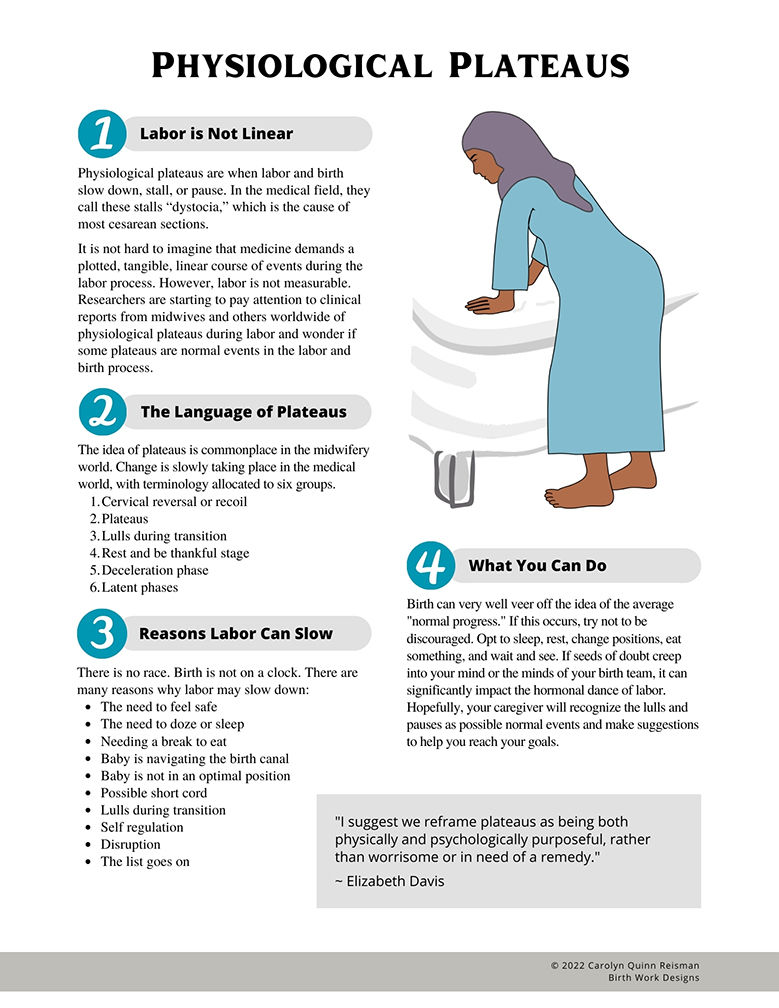 Thumbnail: Physiological Plateaus